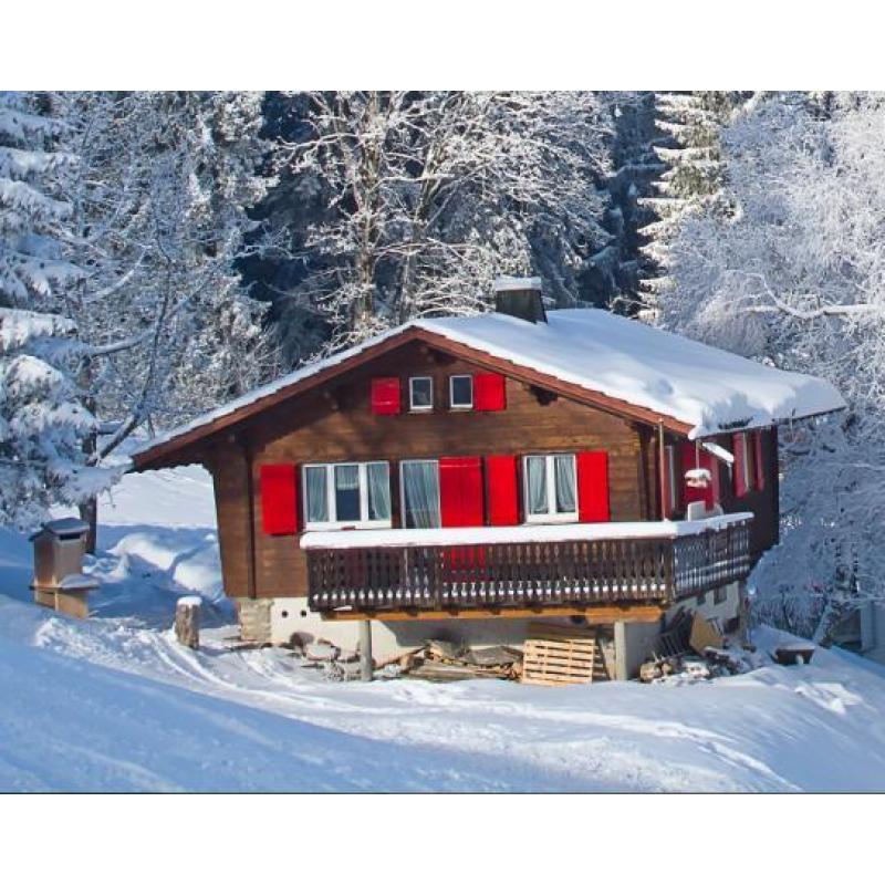 Ons vakantiehuis in Zwitserland is te huur!