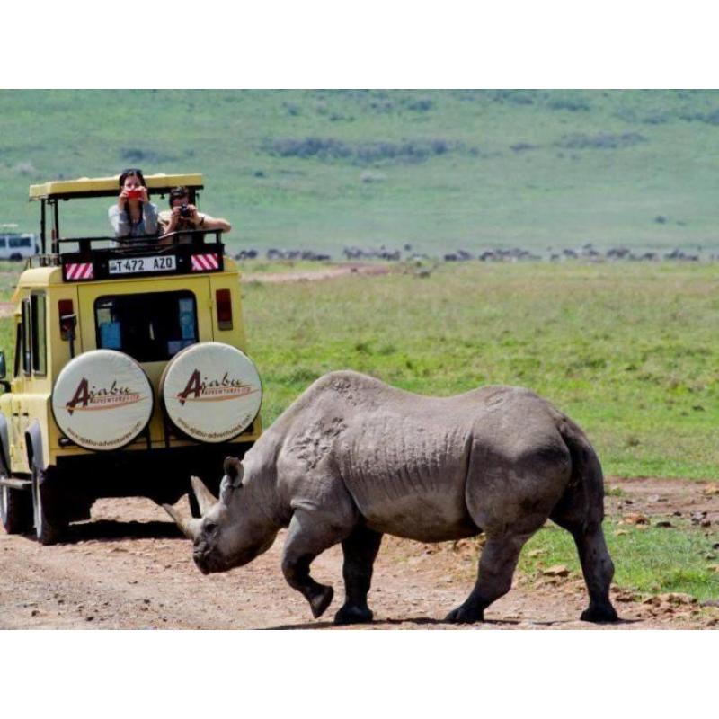 Privé safari Afrika - Tanzania, Kenia, Zanzibar, Kilimanjaro