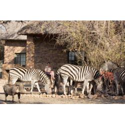 * AANBIEDING 6 pers vakantiehuis bij Krugerpark Zuid Afrika*