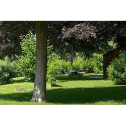 Gulpen, mooie bungalows, schitterend uitzicht, v.a. €247,50