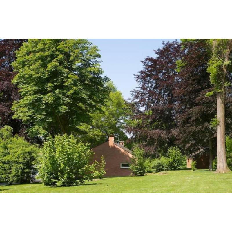 Gulpen, mooie bungalows, schitterend uitzicht, v.a. €247,50