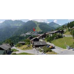 Luxe appt op de alpenweideTorgon/WallisZwitserland!