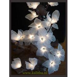 Decoratie sfeerverlichting KALITHA.NL kunst- lichtbloemen