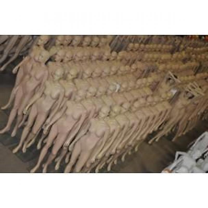 15000 etalagepoppen etalagepop paspoppen paspop mannequins