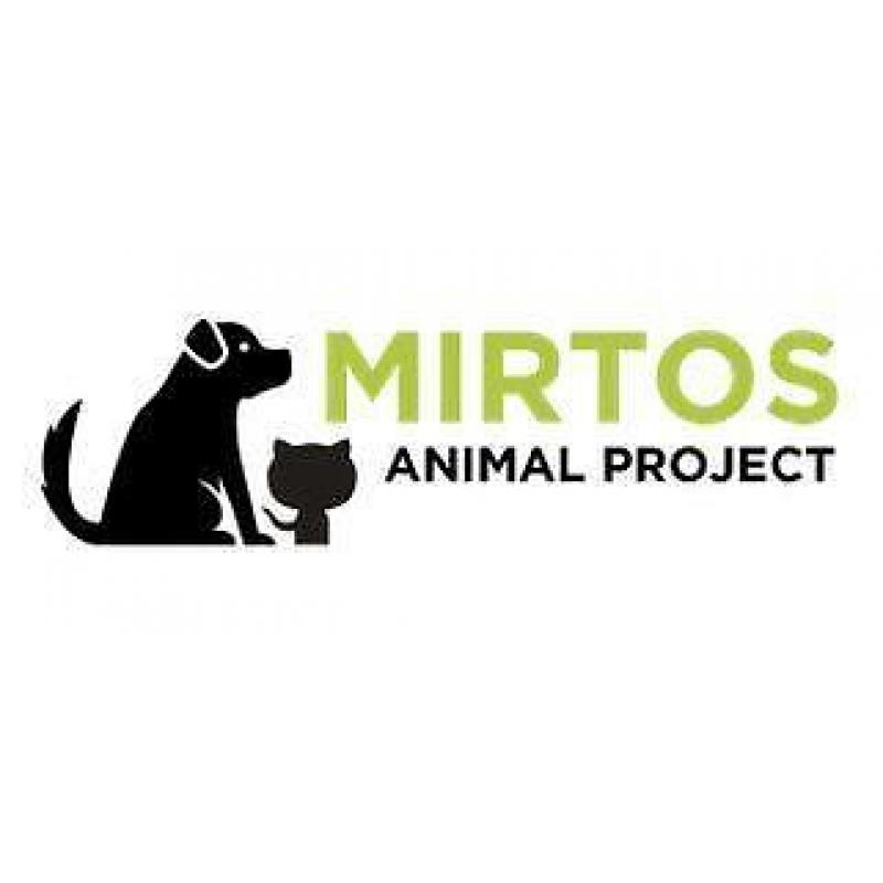 Mirtos Animal Project zoekt gastgezinnen voor kat en hond!