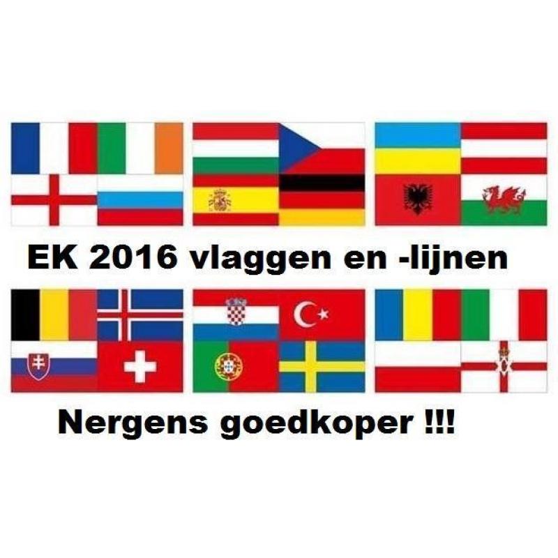 Vlaggen landen ek voetbal 2016 en vlaggenlijnen. Alleen hier