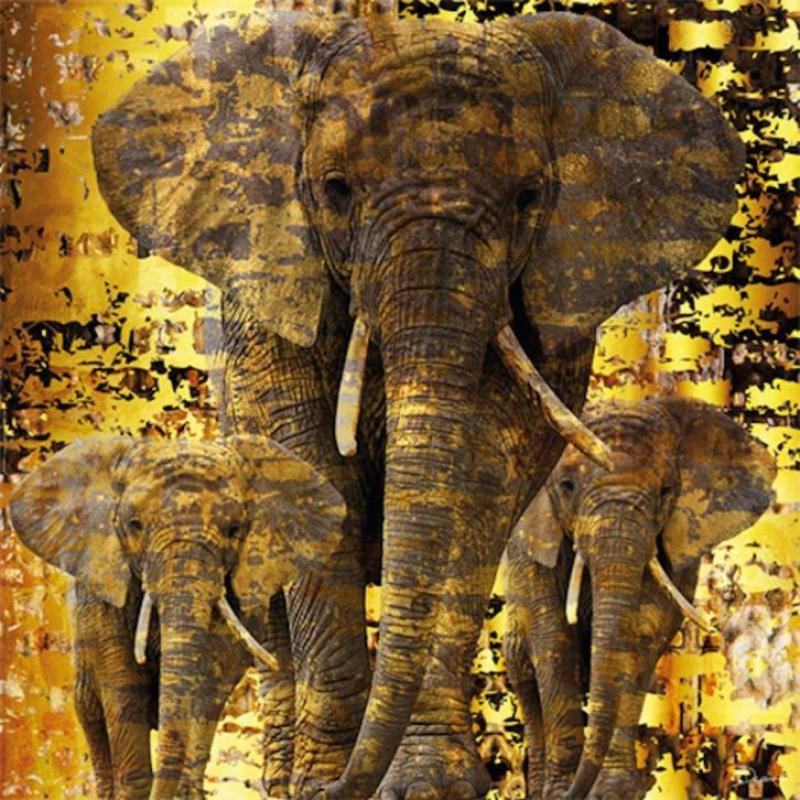 Bas | Elephants