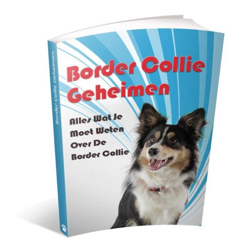 Border Collie Geheimen - Handboek over de Border Collie Hond