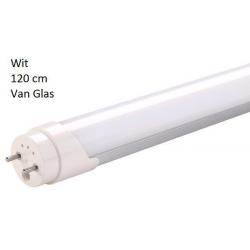 TL LED lamp T8 120 cm wit en warm witte kleur 18 Watt