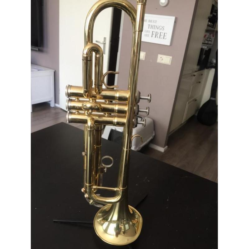 Ashton Bb trompet