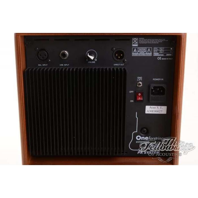 Acus One-8 Amp Extension Cabinet wood 200 watt