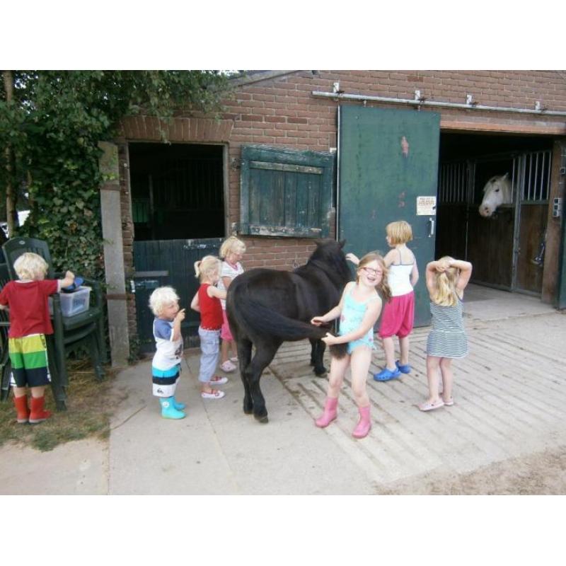 Kindvriendelijke minicamping met ponyrijden