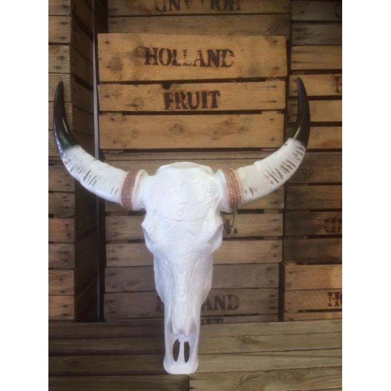 Buffel schedel / longhorn / polyester decoratie