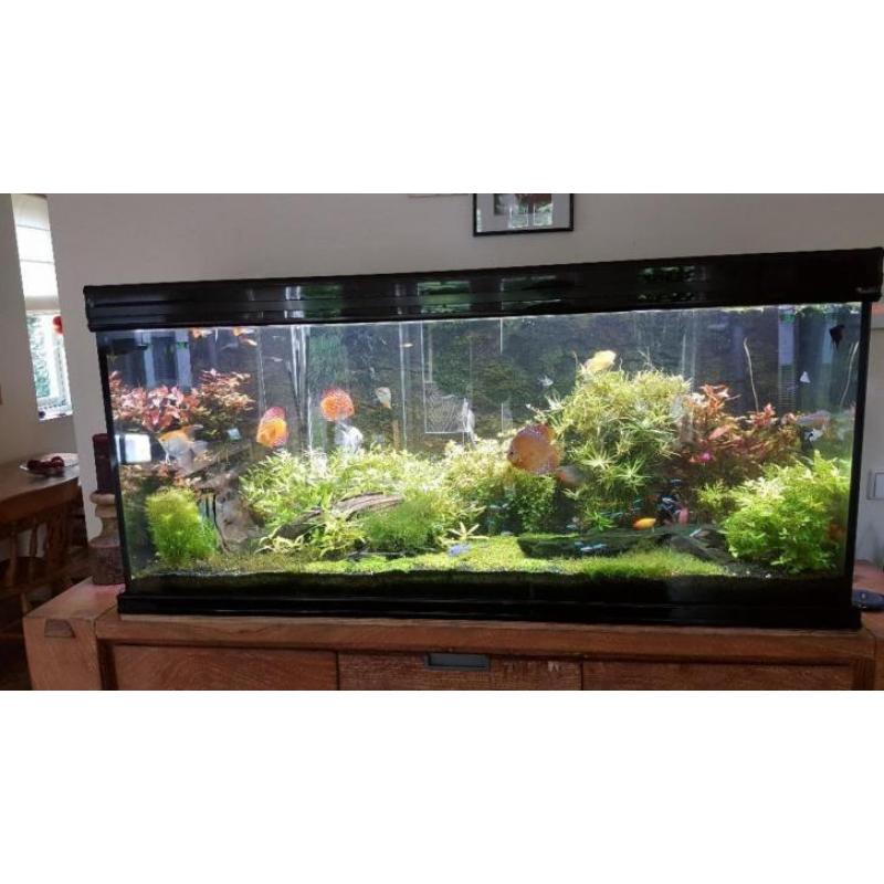 Aquatlantis aquarium fusion 150