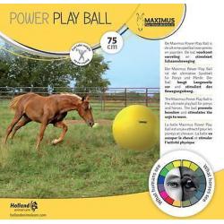 Power play ball voor paarden leuk, voordelig en slijtvast !