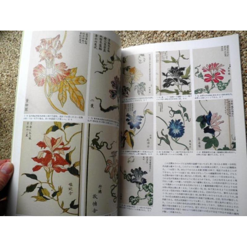 Ipomoea nil Boek uit Japan met bloemen