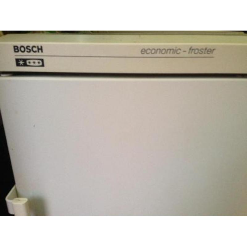 Vriezer Bosch economic froster