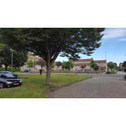 Spijkenisse , Mooie eensgezinswoning met tuin (wijk de Hoek)