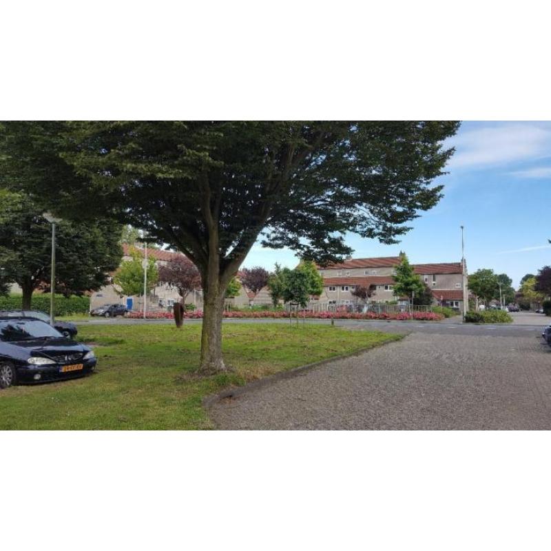 Spijkenisse , Mooie eensgezinswoning met tuin (wijk de Hoek)