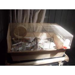 2 hamsters met kooi