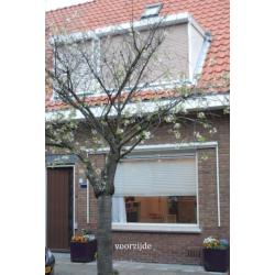 Koopwoning: Busken Huetstraat 17, 'S-GRAVENHAGE