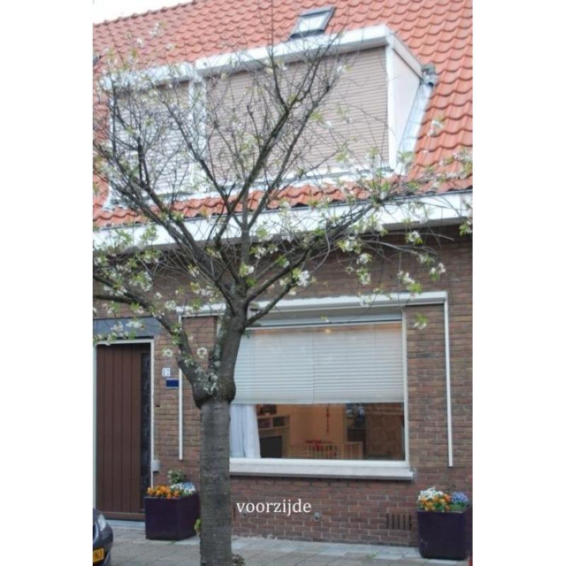 Koopwoning: Busken Huetstraat 17, 'S-GRAVENHAGE