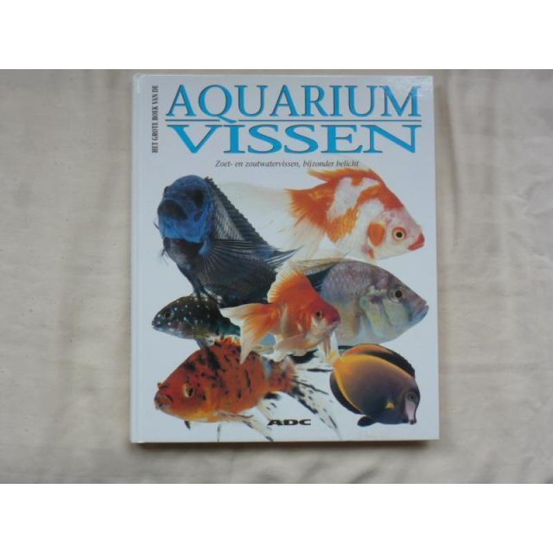 aquarium vissen zoet en zoutwatervissen bijzonder belicht