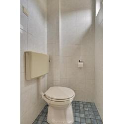 Koopwoning: van der Peijlstraat 2, TERNEUZEN