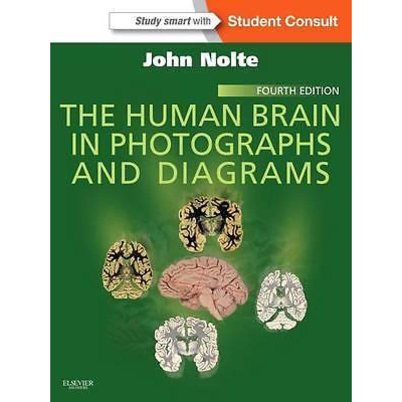 The Human Brain in Photographs and Diagrams 9781455709618