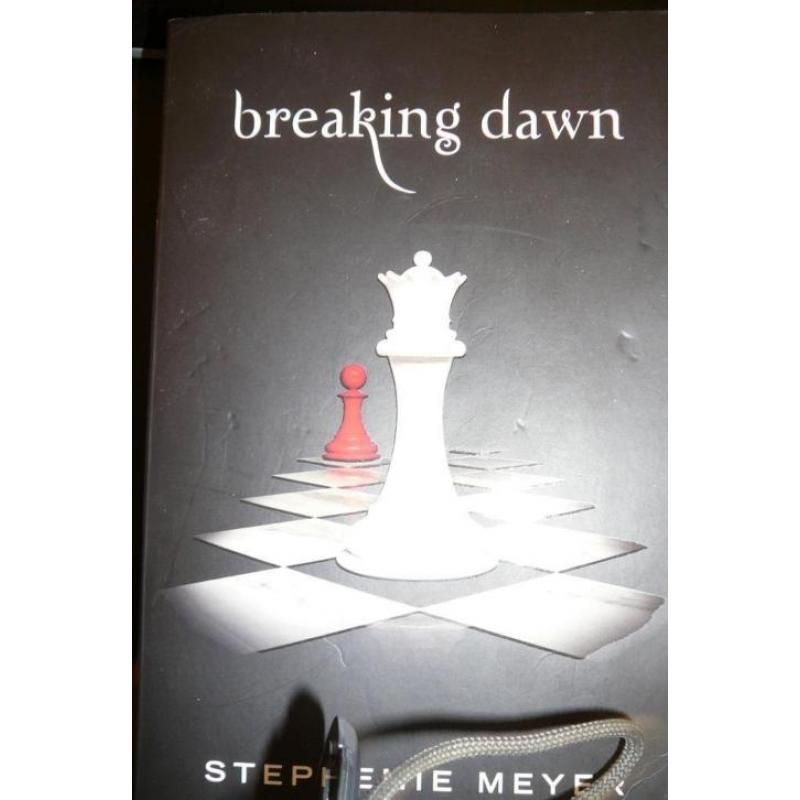 boek breaking down vd twilight saga