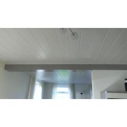 Plafond - & wand panelen