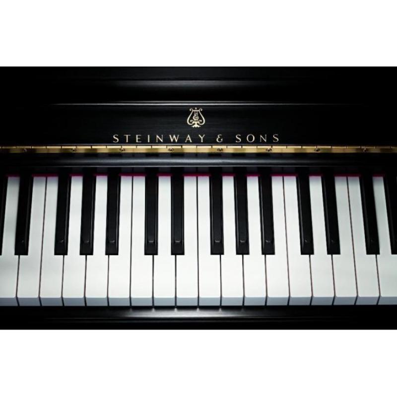 Diverse occasion piano's v.a. € 750,- met 3 jaar garantie!