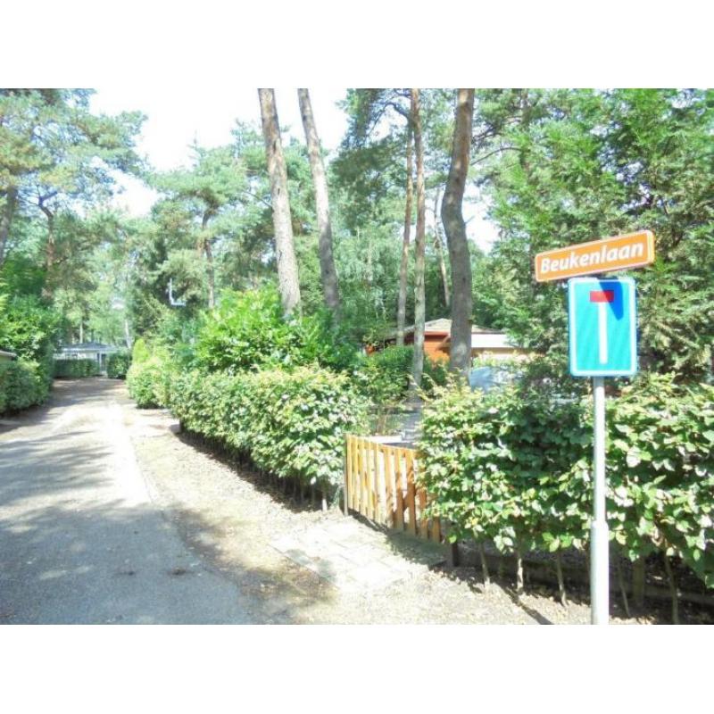 Chalet Beekbergen