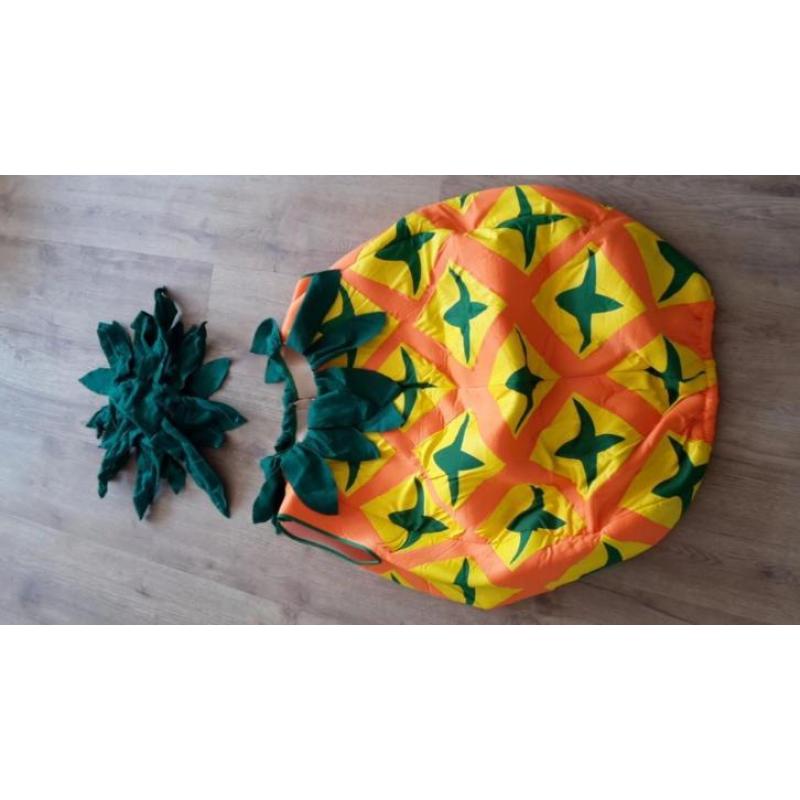 Ananas kostuum