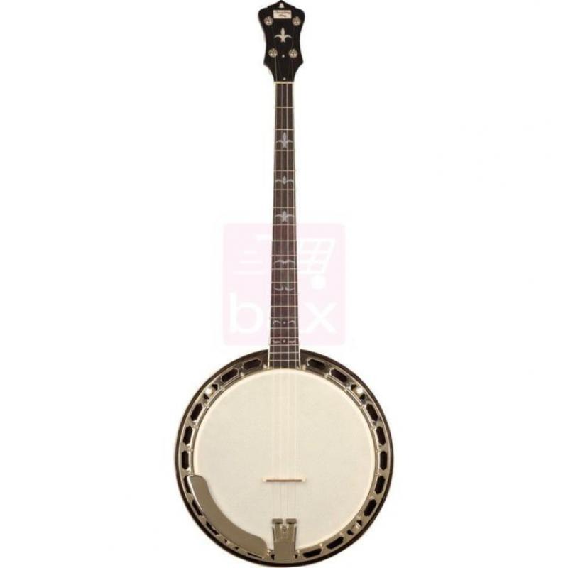 Recording King RK-T36-BR The Madison tenor banjo