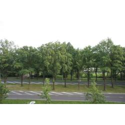 Verkocht: Laan van Kernhem 341, EDE