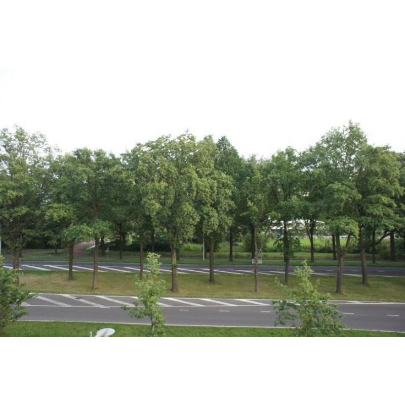 Verkocht: Laan van Kernhem 341, EDE