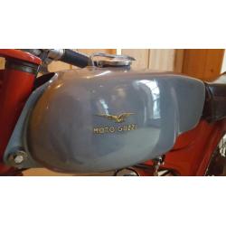 Moto Guzzi Dingo Sport oldtimer brommer