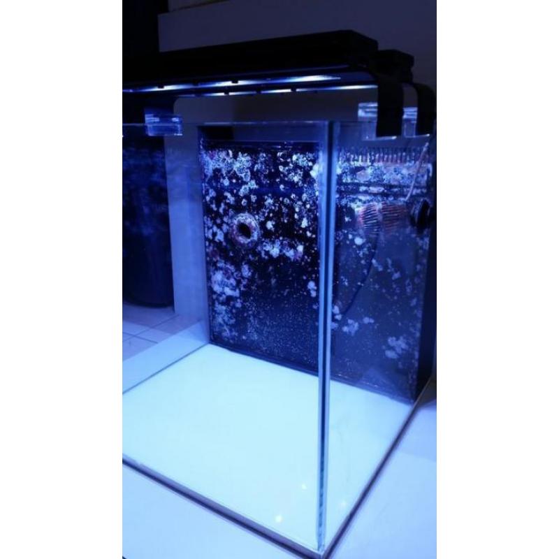 Aquarium 40x40x40 zeewater nano cube compleet