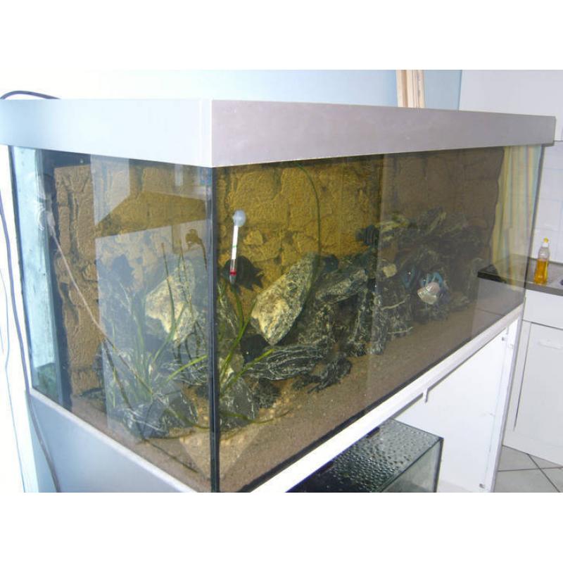 Terraglas is de specialist in maatwerk aquaria.