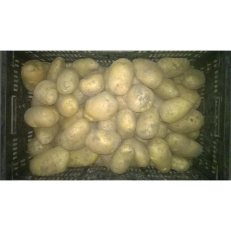 Aardappelen (bij voorkeur hand geraapt)