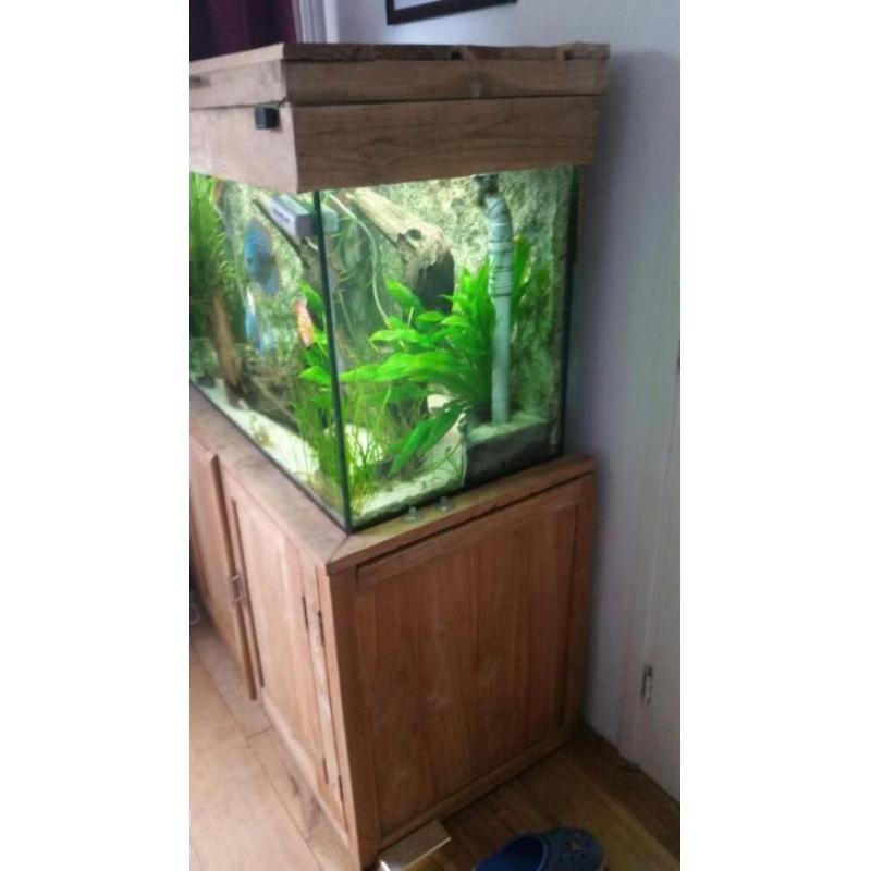 aquarium teak 300 liter
