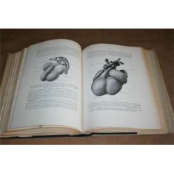 Leerboek der Ontwikkelingesch van den Mensch !!