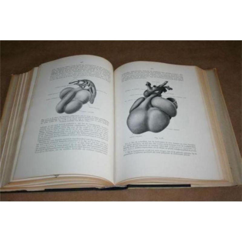 Leerboek der Ontwikkelingesch van den Mensch !!