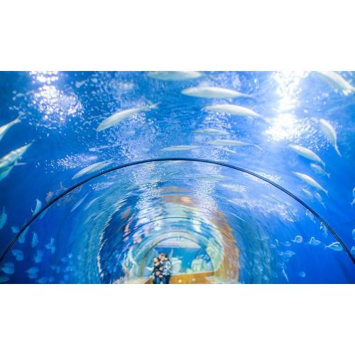Oceanográfic and Principe Felipe Science Museum combined tickets