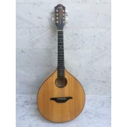 Exclusieve Mandola linkshandig (evt ruil)