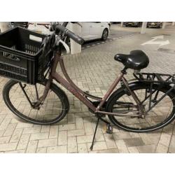 Batavus dames fiets model 24/7 dn3