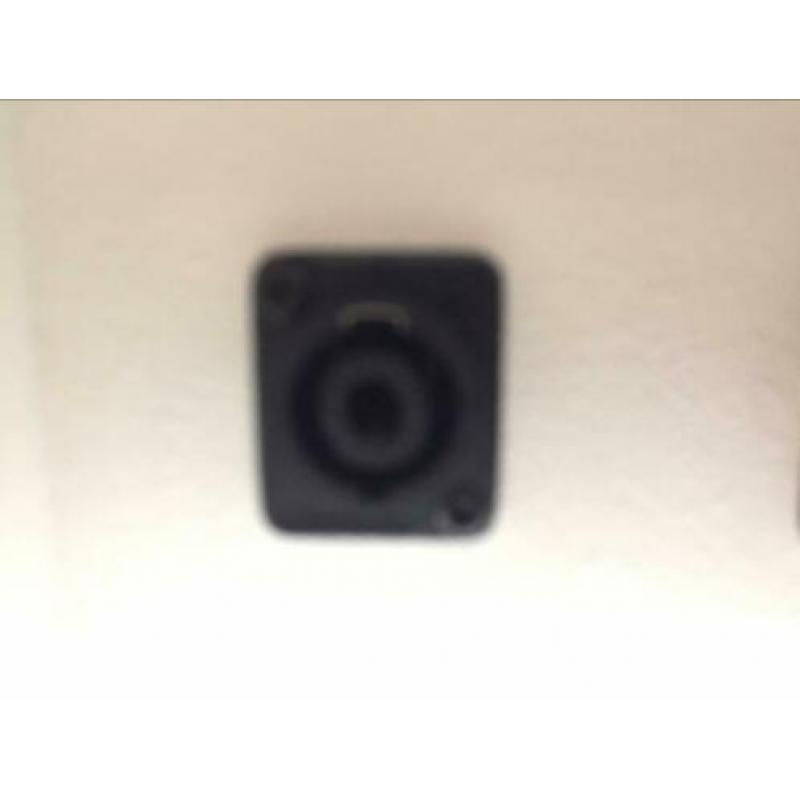 Dynacord D12 speakers