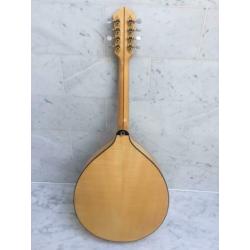 Exclusieve Mandola linkshandig (evt ruil)