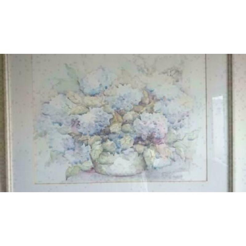 Aquarel van Ellen Kroon. Gesigneerd Hortensia`s maten lijs